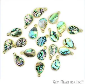 Abalone Shell 10x14mm Pear Shape Single Bail Gold Edge Connector